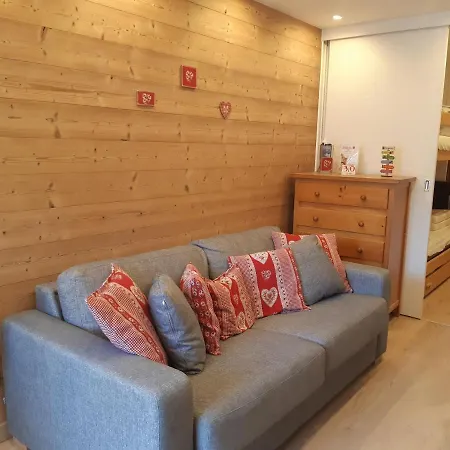 Renove Pres Des Pistes Avec Balcon, Animaux Acceptes - Fr-1-516-132 Les Deux Alpes