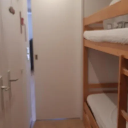 Renove Pres Des Pistes Avec Balcon, Animaux Acceptes - Fr-1-516-132