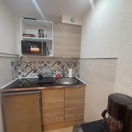 Renove Aux Deux Alpes, Animaux Acceptes - Fr-1-516-132 Apartmán